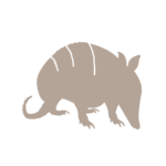 Piel de Armadillo