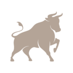 Piel de Cuero de Toro